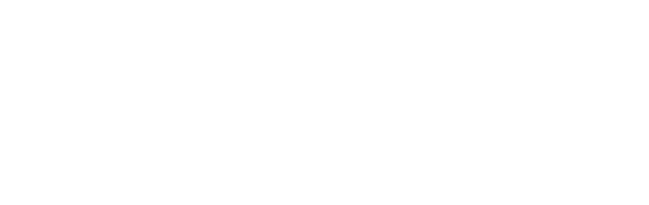 Government-Executive (1)__WO - Walker Capital Government Executive